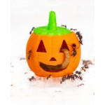 Pumpkin Feeder 3D - Seedbed for harvester ants Other accessories Anthouse