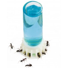 Tränke 3D 10 ml für Ameisen