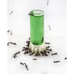 Bebedero 10 ml 3D para hormigas Anthouse Otros Accesorios