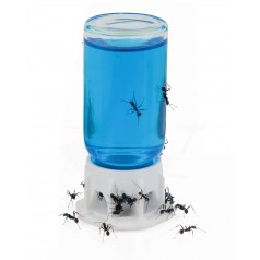 Abeurador 3D per formigues