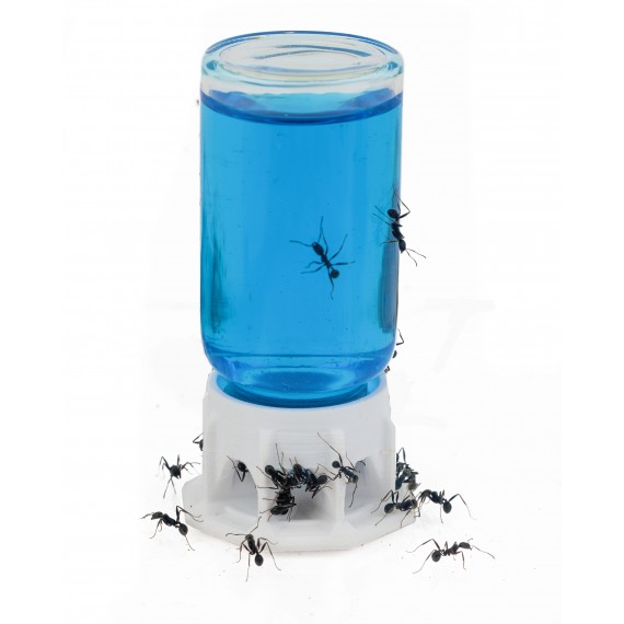 Bebederos 3D para hormigas (Nuevo Modelo) Anthouse Otros Accesorios
