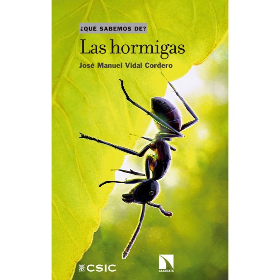 ¿Qué sabemos de? Las hormigas. Anthouse Libros Sobre hormigas