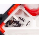 QBIK Fundacion QBIKS Ant's Nests Modular 3D