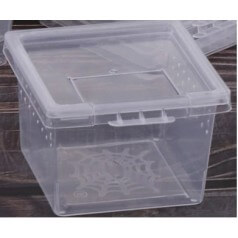 Ant observation and transport box Containers Anthouse 2