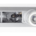 Tubex 3D, Nuova Provetta 3D Anthouse Contenedores