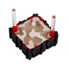 Qbik Wild Quadra P 6C  Inicio 2