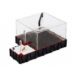 Qbik Wild Quadra P 3C  Inicio