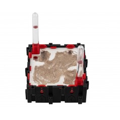 Qbik Wild Quadra P 3C  Accueil 2