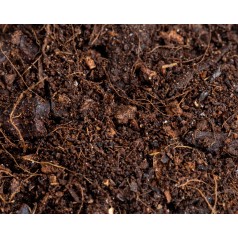 Jungle Soil 500cc  Categorías 2