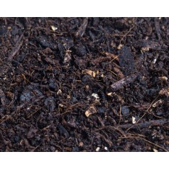 Wild Soil 500cc  Categorías 2