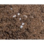 Island Soil 500gr  Inicio