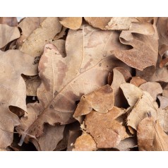 Oak Leaves 500cc  Categorías