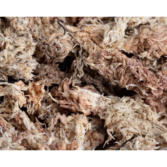 Dried Sphagnum Moss 50cc  Categorías
