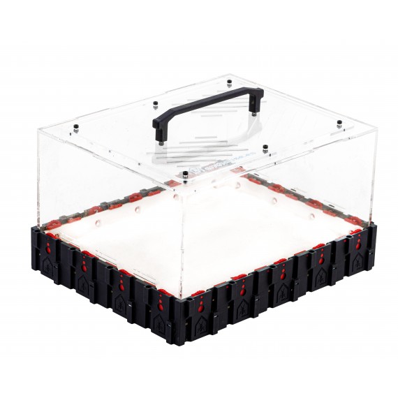Boîte de recherche de nourriture QBIK TERA  QBIKS Fourmilières 3D Modulaire