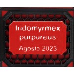 Letrero Personalizado Qbik  QBIKS Modulares 3D