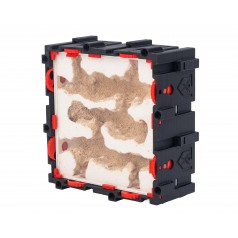 Qbik Wild Quadra P 3C E  Accueil
