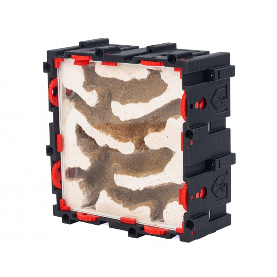 Qbik Wild Quadra P 4C E  Inicio