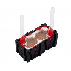 Qbik Wild Duo P 2C  Accueil