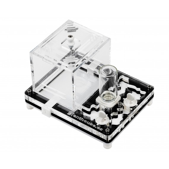 AntCrilic 10x12 cm PVA-Einlage Anthouse Ameisennester