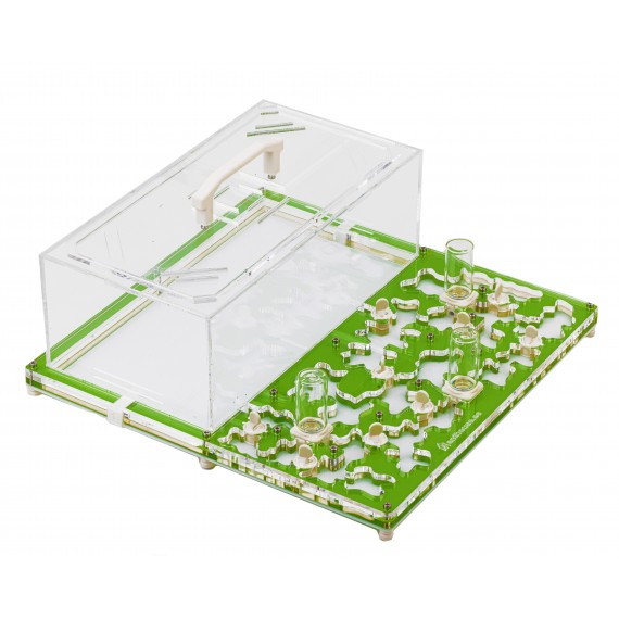 AntCrilic 30x30 cm PVA-Einlage Anthouse Ameisennester