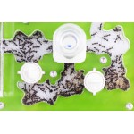 AntCrilic 20x20 cms PVA Deposito Anthouse  Formiguers