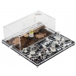 AntCrilic 30x30 cms PVA Deposito Anthouse  Formiguers