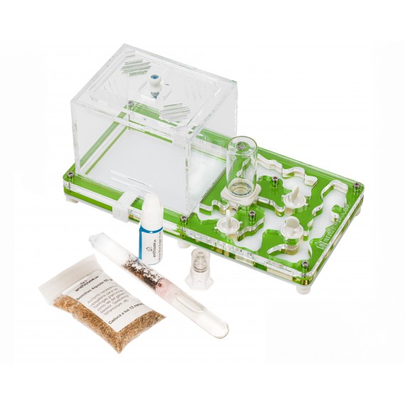 AntHouse - Educational Kit (FREE ants with queen included) Ant's Nests Anthouse
