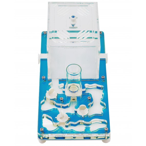 AntHouse - Educational Kit (FREE ants with queen included) Ant's Nests Anthouse