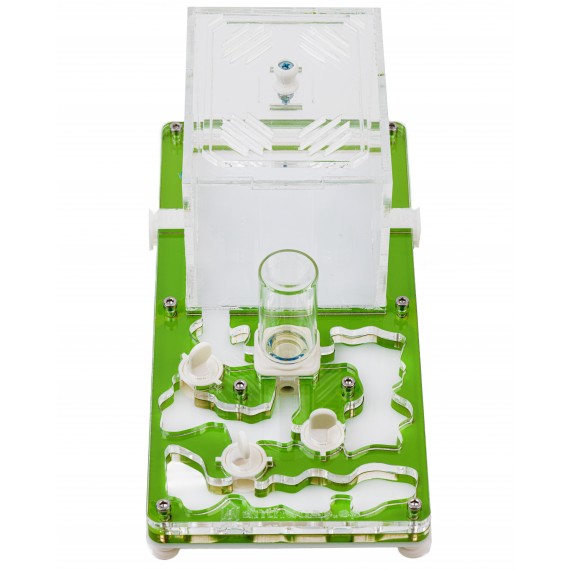 Kits AntHouse - Educativo (Hormigas con Reina incluida Gratis) Anthouse  Hormigueros