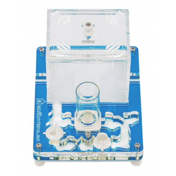 PVA Educational Kit 10x12 cm (Freie Ameisen mit Königin) Anthouse Ameisennester