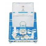 Kit Educatiu PVA 10x12 cm (Formigues Gratis amb Reina) Anthouse  Formiguers