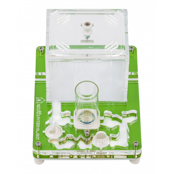 Kit Educatiu PVA 10x12 cm (Formigues Gratis amb Reina) Anthouse  Formiguers