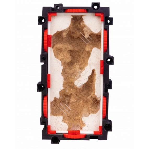 Qbik Wild Duo P 2C E Caverna Home