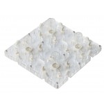 Antcrilic modulaire 20x20x1,5 cm  Fourmilières modulaires
