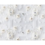 Antcrilic modulaire 20x20x1,5 cm  Fourmilières modulaires