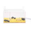 copy of AntHouse Wall Kit Big Ants nests Kits Anthouse