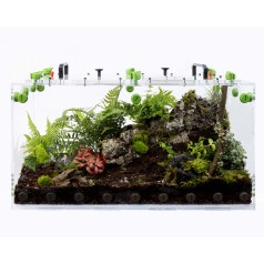 Packs Biomas Qbik GAIA  Categorías 2