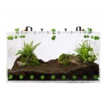 Packs Biomas Qbik GAIA  Categorías