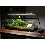 Lampada per piante a spettro completo 4000K Luce LED  Inicio