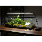 Lampe horticole LED à spectre complet 4000K  Accueil